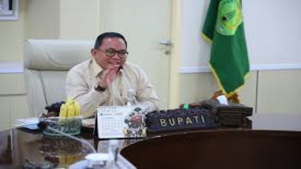 Bupati Banyuasin Dodi Reza Alex Noerdin-1634367420