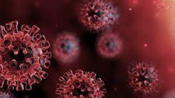 Ilustrasi covid-19-1636374164