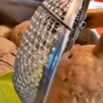 Bakso mirip payudara viral di TikTok. (net)-1644658560