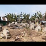 Bong Cino-1643705764