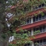 Kampus Universitas Indonesia salah satu yang terbaik di Tanah Air-1644481177