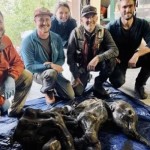 Mumi Bayi Mammoth-1656321036