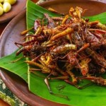 Belalang goreng-1659189279