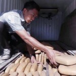 Penyelundupan ganja-1663428449