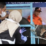 Kaltim masuk wilayah bebas PMK hewan ternak-1675052103