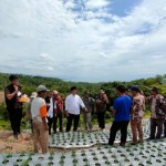 Penjabat Gubernur Sulbar Akmal Malik saat mengunjungi kasawan food estate di Desa Baruga Kabupaten Majene, Kamis (5/1). (ANTARA/HO/Diskominfo Sulbar)-1673946862