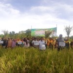 petani-1674475284