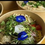 Petik dulu sebelum makan di restoran ini-1675043628