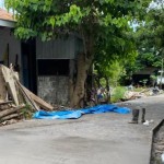 PLN NTT: Produksi FABA digunakan untuk bangun 1,8 km jalan desa-1673591888