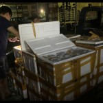 Polisi telusuri jaringan penyelundup ratusan terumbu karang di Bima-1674199784