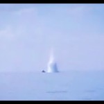 PSDKP ungkap pelaku pengeboman ikan di laut Natuna-1674799522