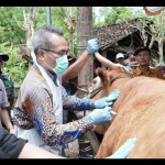 sapi-1674905131