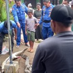 buaya-1676981255