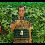 Cianjur-1676443660
