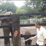 Heru Budi Hartono-1675405192
