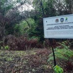 KLHK kenakan sanksi denda ke perusahaan sawit di Bintan-1676512641