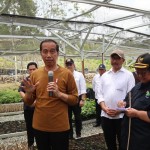 Menghitung hari menuju HUT RI di Ibu Kota Nusantara (2)-1677385617
