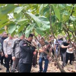 Mentan: Tanaman perlu perlakukan khusus untuk hasilkan maksimal-1677223460