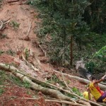 Menteri Lingkungan Brazil kecam kenaikan tingkat deforestasi di Amazon-1677565714
