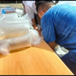 penyelundupan ribuan benur yang berhasil digagalkan oleh Polres Pesisir Barat. ANTARA/Riadi Gunawan.-1677564755