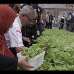 PMI dan eFarming kenalkan "ecoenzyme" untuk tingkatkan hasil pertanian-1677389190