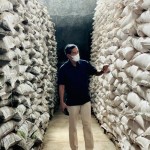 Pupuk Indonesia pastikan stok pupuk subsidi nasional terpenuhi-1675928195