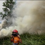 riau-1675771441