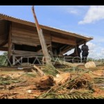 Upaya mengakhiri konflik satwa dan manusia di Tanah Rencong-1677469641