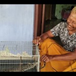 Buaya hasil tangkapan warga dikandangkan di dalam sangkar burung. (ANTARA/Akhmad Nazaruddin Lathif)-1679909435