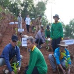 Bupati Gunungkidul Sunaryanta menanam pohon kopi. (ANTARA/HO-Humas Pemkab Gunungkidul)-1678089966