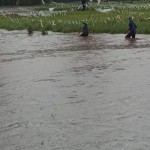 Empat desa di Kabupaten Bima diterjang banjir-1678069009