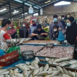Ikan-1679994125