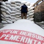 Ilustrasi. Pupuk beraubsidi untuk para petani Indonesia. ANTARA Foto/HO-1679641208
