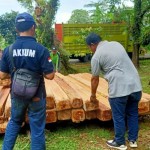Kayu-1680161879