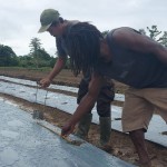 Petani cabai saat mengukur jarak tanaman di Kabupaten Keerom, Papua (ANTARA/Qadri Pratiwi)-1677657234