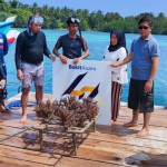 PTBA tanam terumbu karang di Pulau Pahawang-1679914433