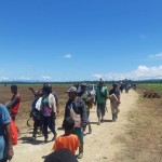 Ratusan warga antusias menyambut Presiden Jokowi di lokasi food estate-1679372332