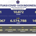 Satgas: Kasus terkonfirmasi positif COVID-19 bertambah 223 orang-1678689762