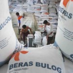 141.588 KPM di Probolinggo dapat bantuan pangan beras-1681119718