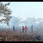 BPBD Aceh Barat tingkatkan sosialisasi cegah kebakaran hutan dan lahan-1681875327