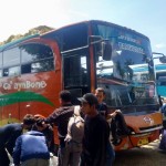 Palu-1681802293
