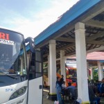 Palu-1681910043