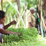 Pemkab Biak: Dana desa bantu cegah kemiskinan di kampung-1681112920