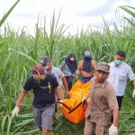Polisi tahan suami ibu melahirkan di kebun tebu-1680845996