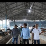 Sapi-1681963541