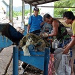 TPST Sandubaya Mataram kurangi sampah ke TPA hingga 8 ton per hari-1681119874