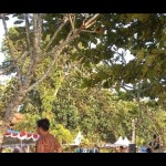 UMKM-1681819237