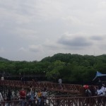 Wisatawan lokal saat mengunjungi agrowisata Mangrove, Kota Jayapura (24/4/2023).(ANTARA/Ardiles Leloltery)-1682412860