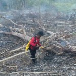 BMKG temukan 29 titik panas di Kalimantan Timur-1685097757