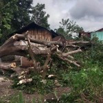 Ilustrasi - Rumah warga rusak akibat angin kencang di Kabupaten Flores Timur, NTT. (ANTARA/HO-BPBD Kabupaten Flores Timur)-1683807781